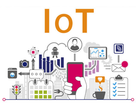 pata-iot-roja-800x640